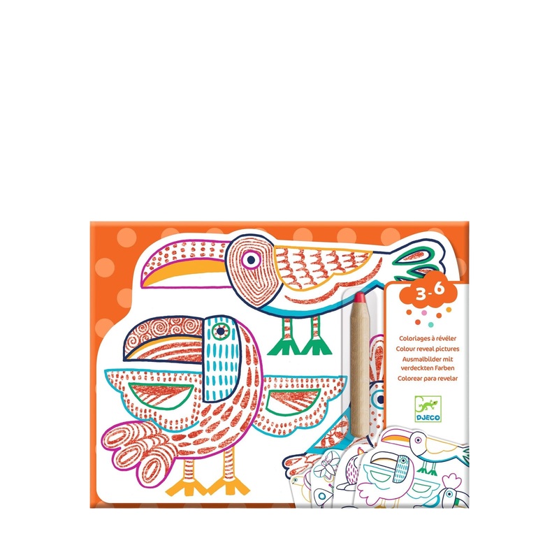 Colouring Craft Set – Wild Families
