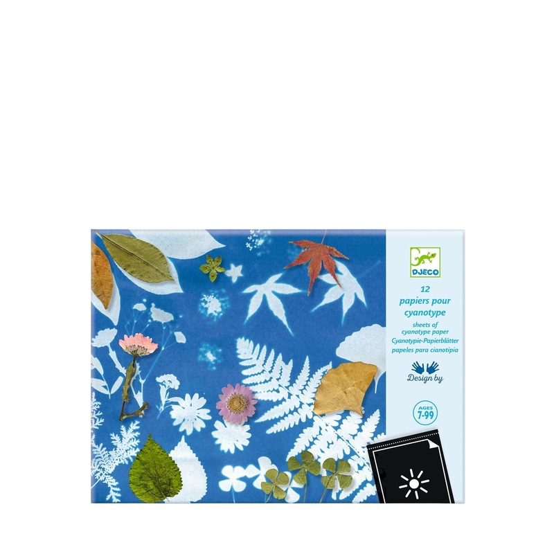Light Sensitive Paper Craft Set – 12 Paper Sheets
