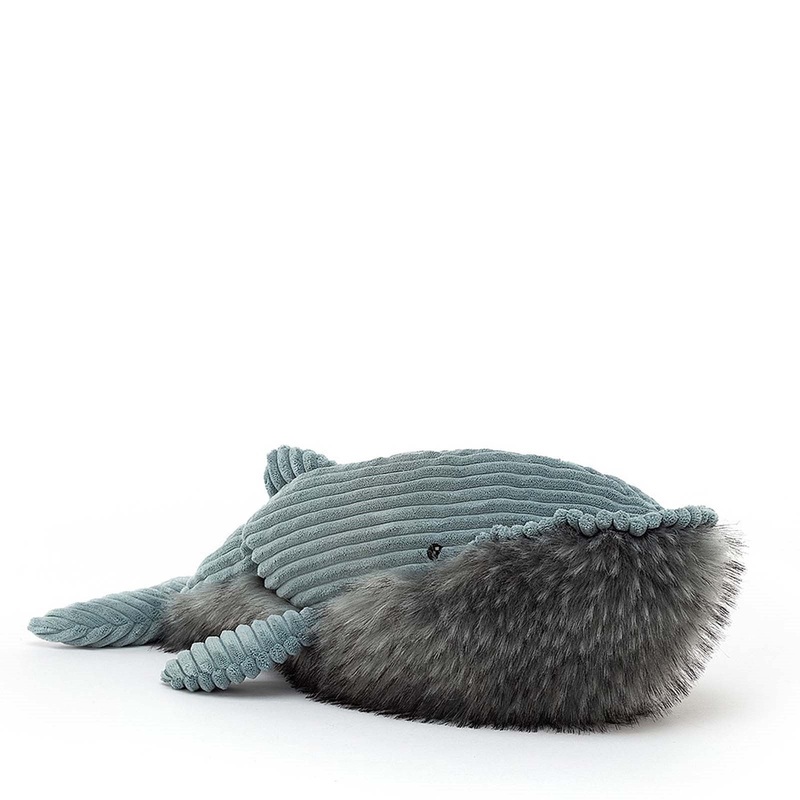 Wiley Whale