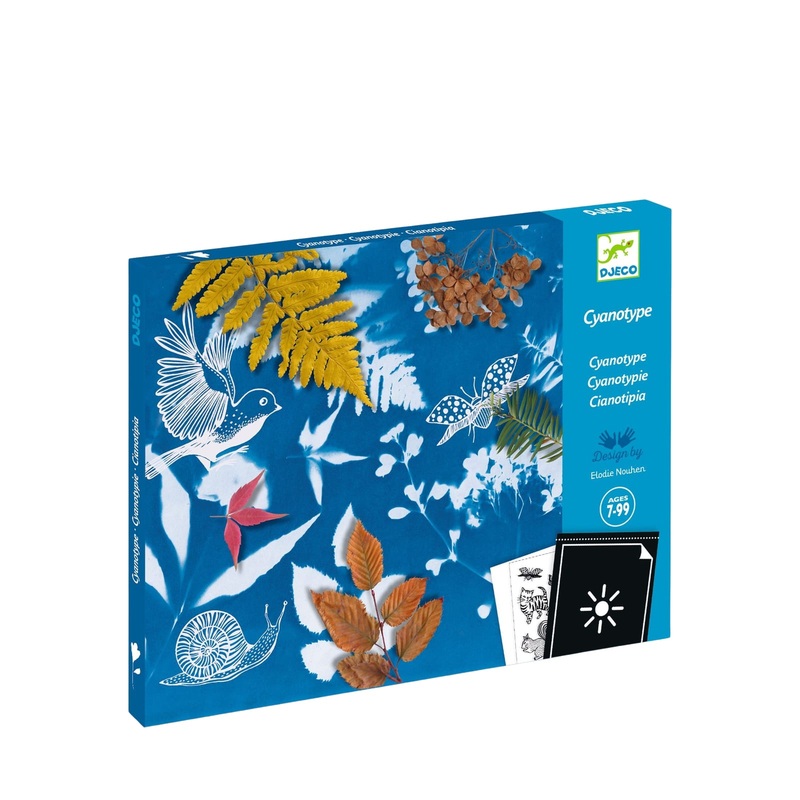 Light Sensitive Paper Craft Set – Starter Kit
