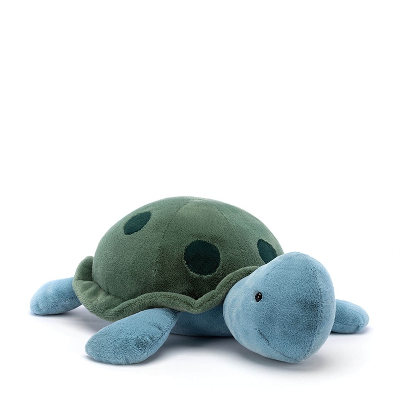 Big Spottie Turtle