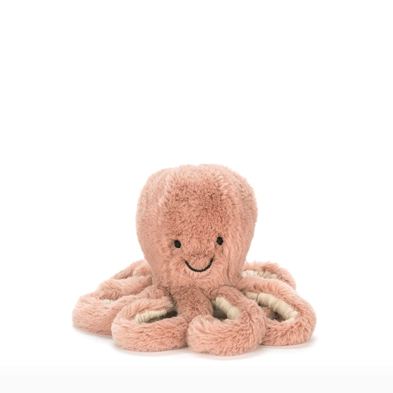 Baby Odell Octopus