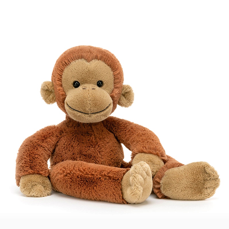 Pongo Orangutan