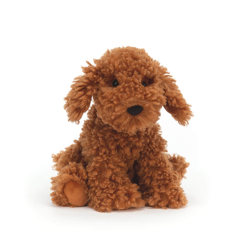 Cooper Doodle Dog