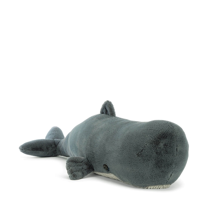 Sullivan the Sperm Whale