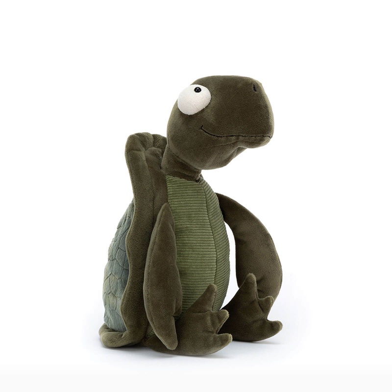 Tommy Turtle