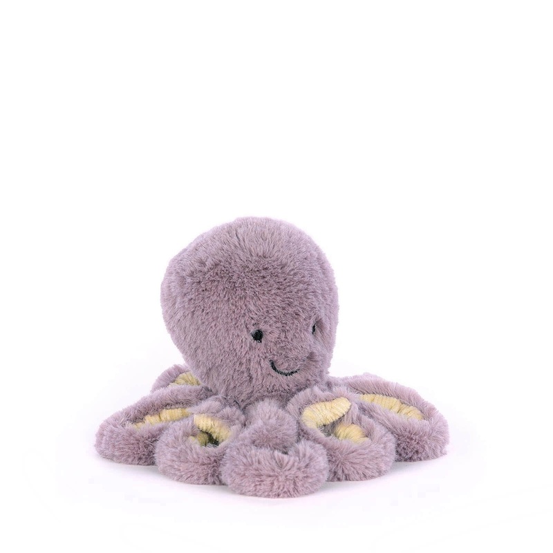 Baby Maya Octopus