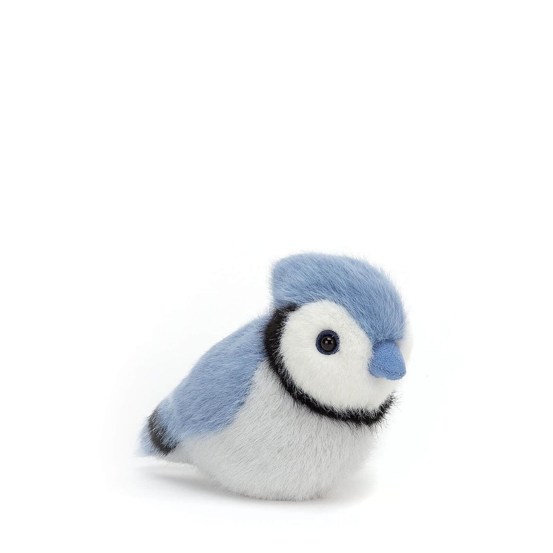 Birdling Blue Jay