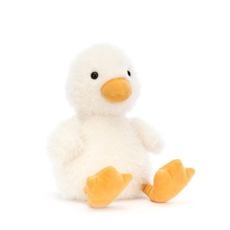 Dory Duck