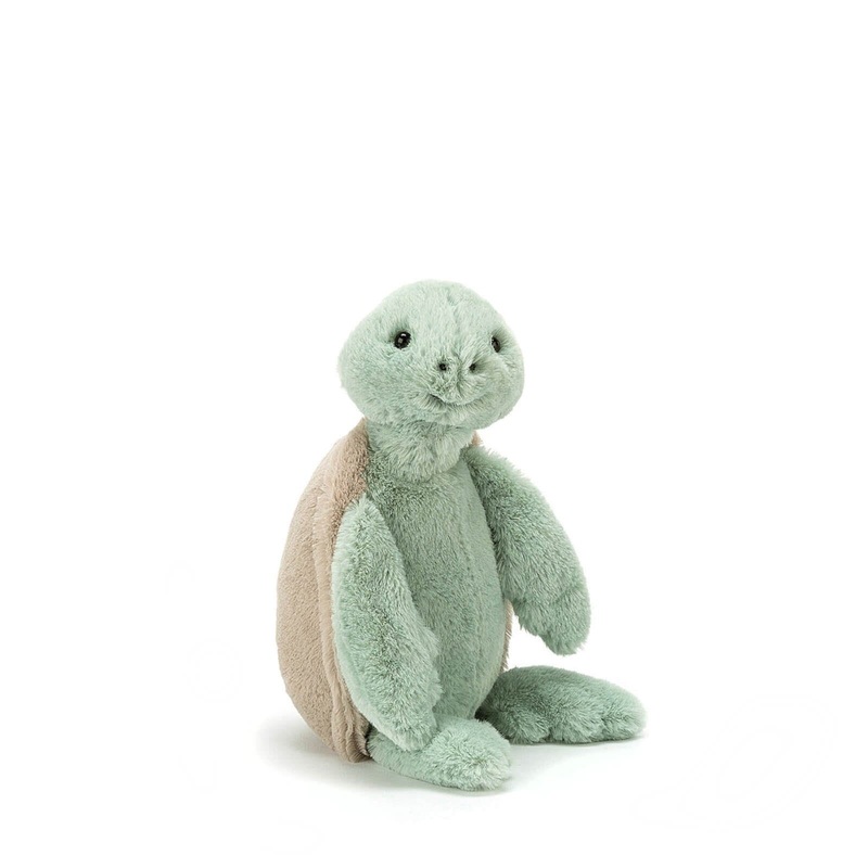 Small Bashful Turtle