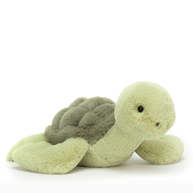 Tully Turtle