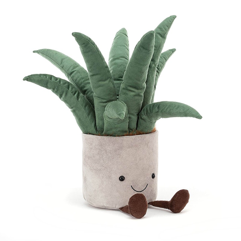 Amuseable Aloe Vera Big