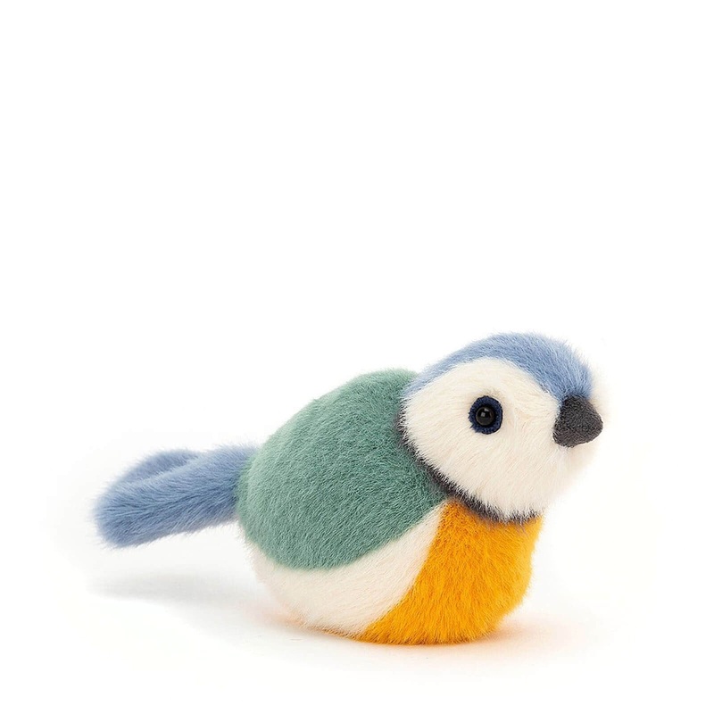Birdling Blue Tit