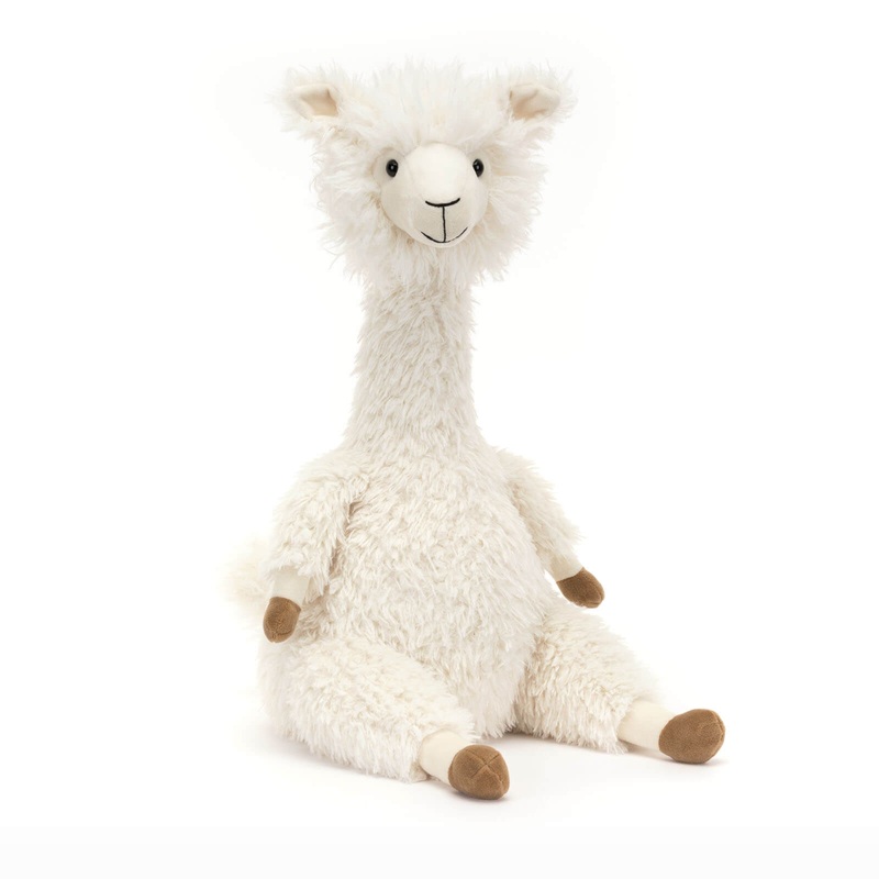 Alonso Alpaca