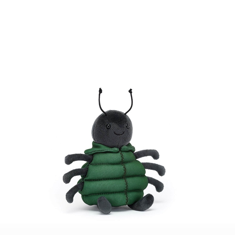 Anoraknid Black Spider