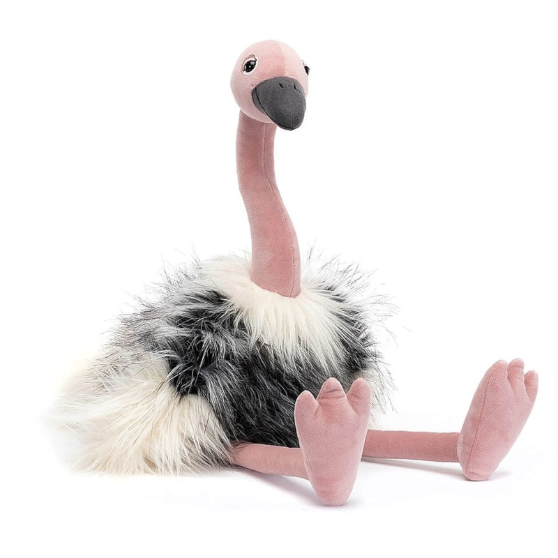 Ramonda Ostrich
