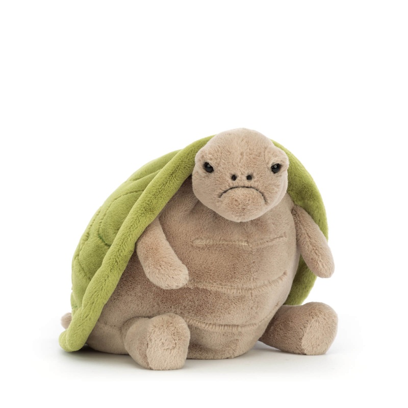 Timmy Turtle