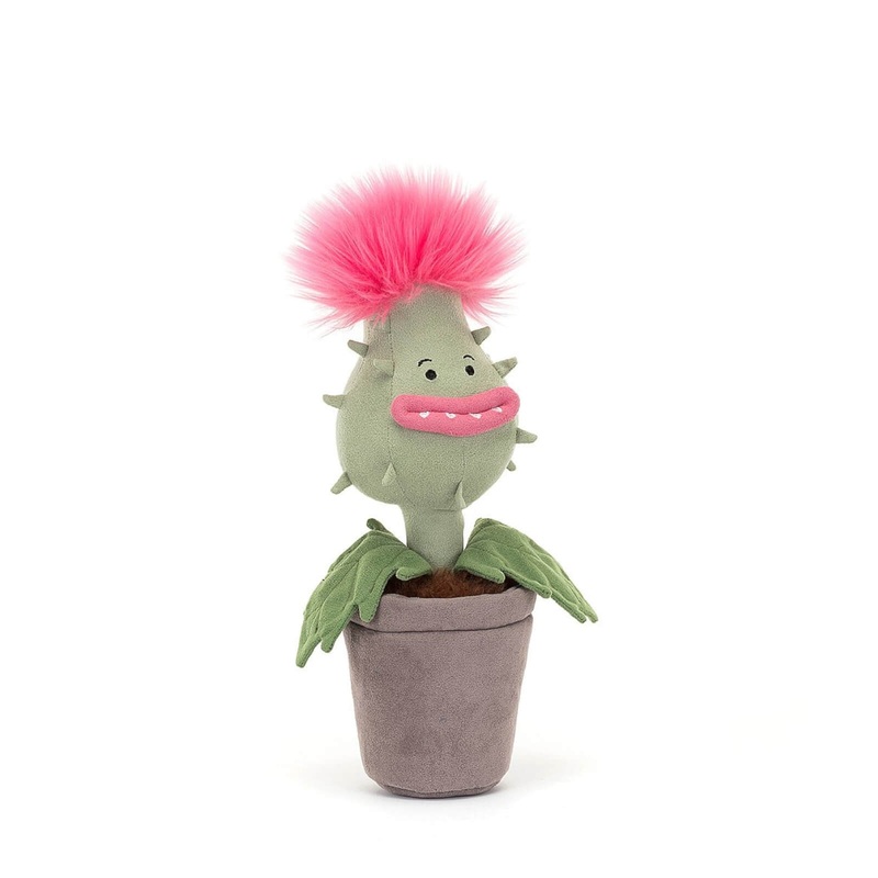Amuseable Carniflore Priscilla
