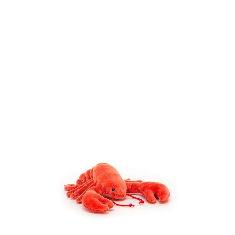 Sensational Seafood – Lobster