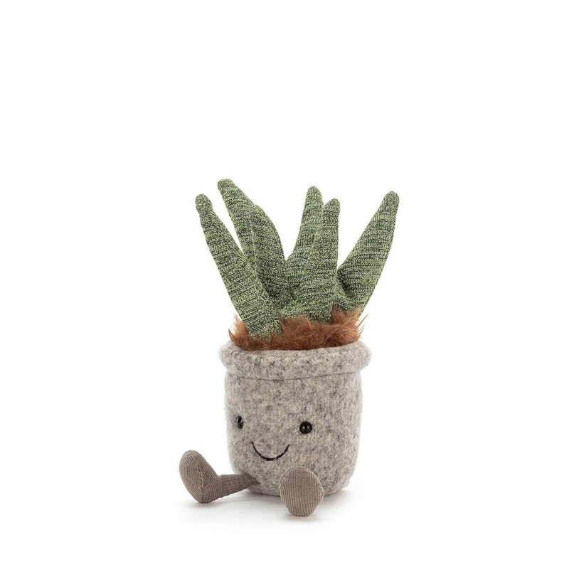 Silly Succulent Aloe