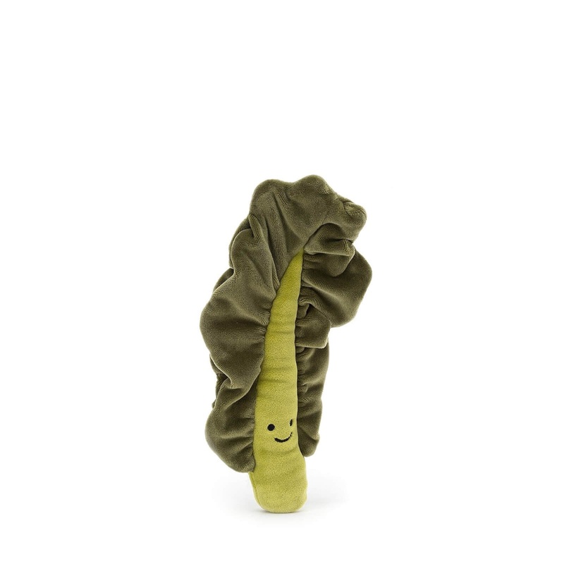 Vivacious Vegetable – Kale Leaf