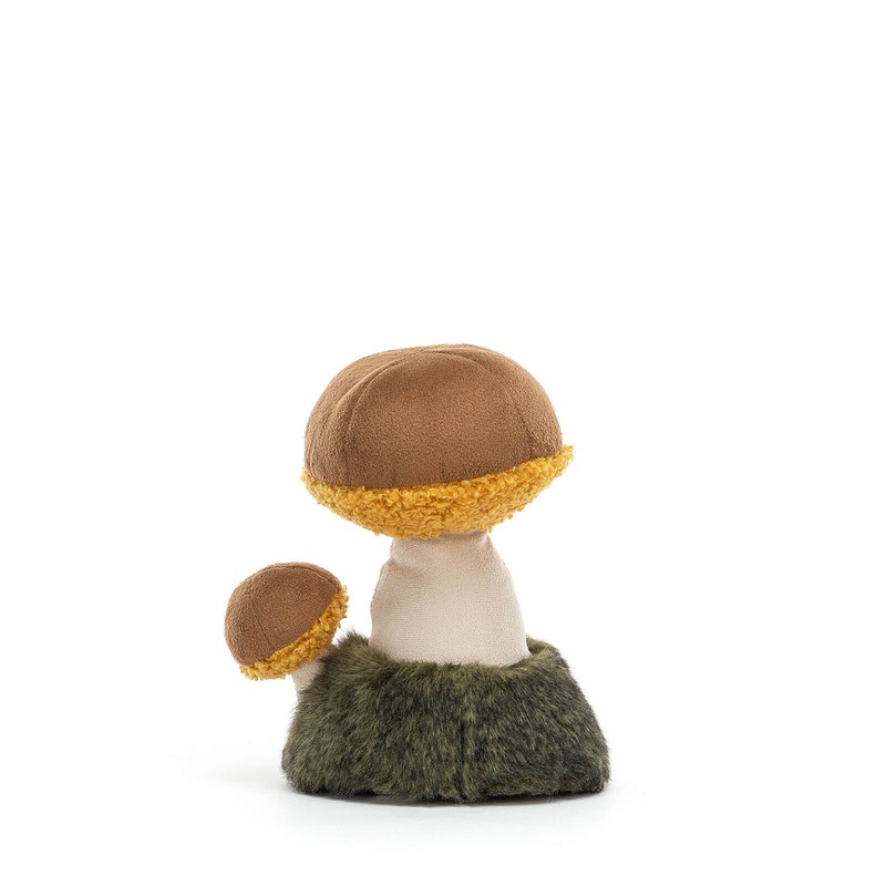 Wild Nature Boletus Mushroom