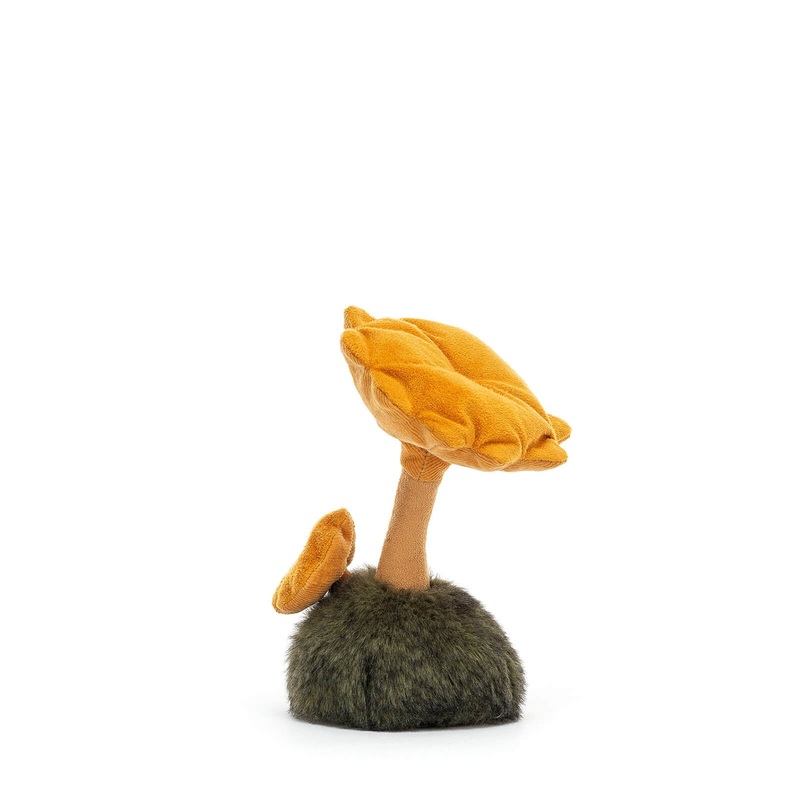 Wild Nature Chanterelle Mushroom