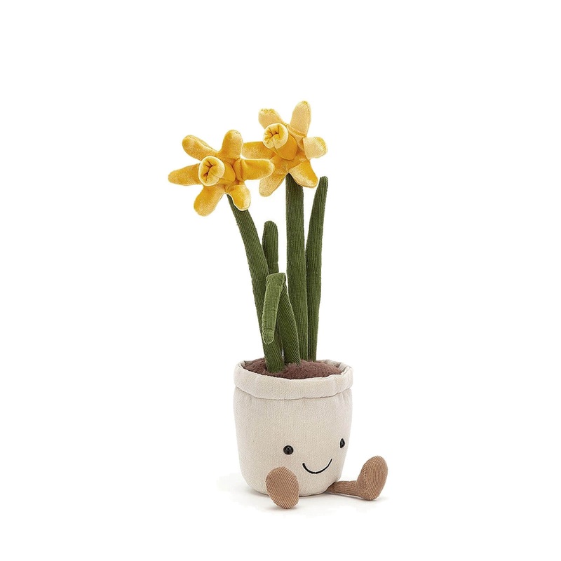Amuseable Daffodil