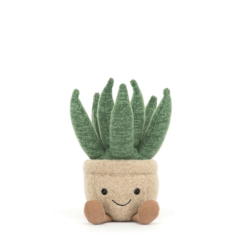 Amuseable Aloe Vera Small