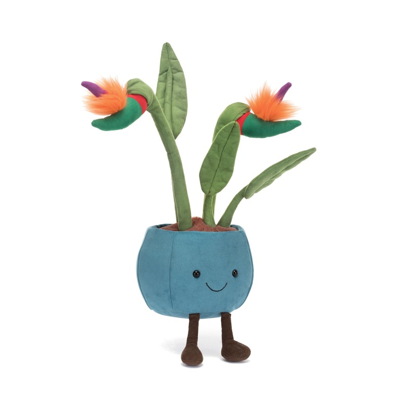 Amuseable Bird of Paradise