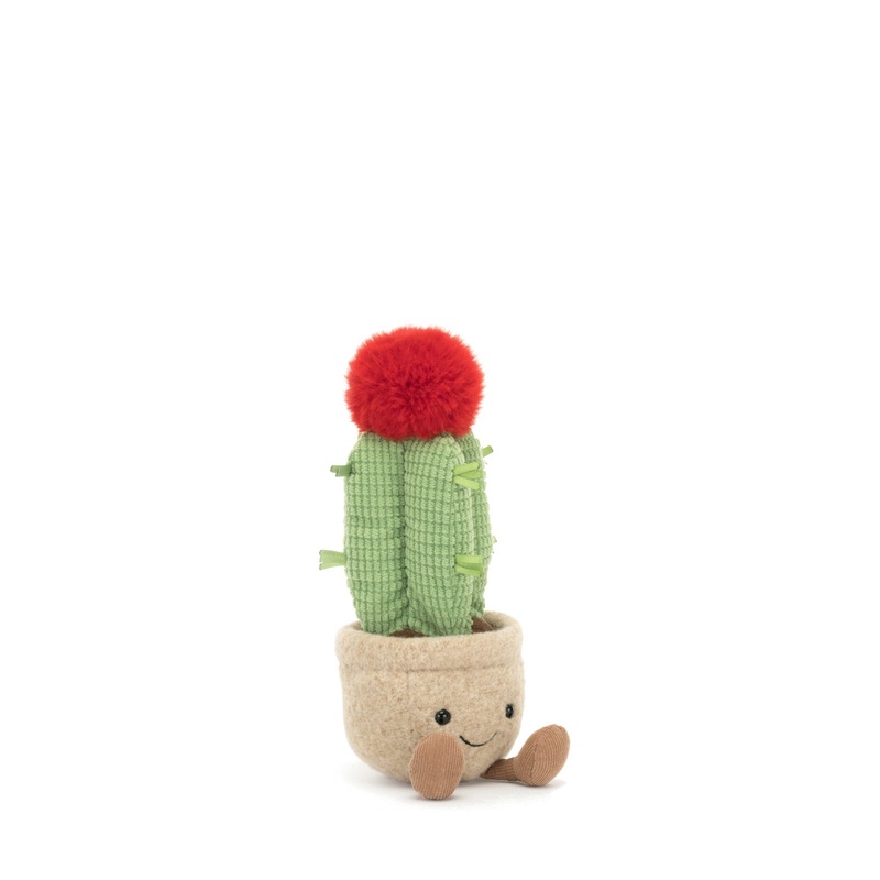 Amuseable Moon Cactus