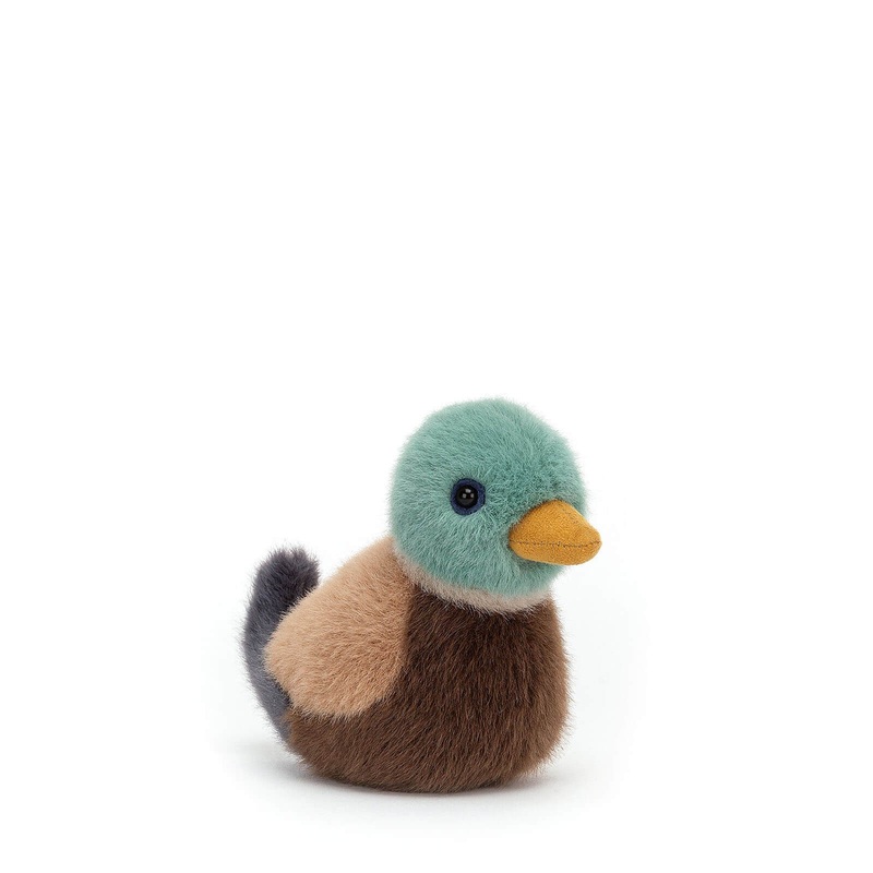 Birdling Mallard