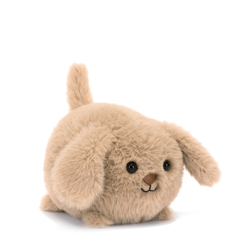 Caboodle Puppy