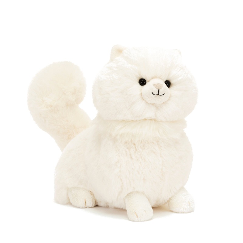 Carissa Persian Cat