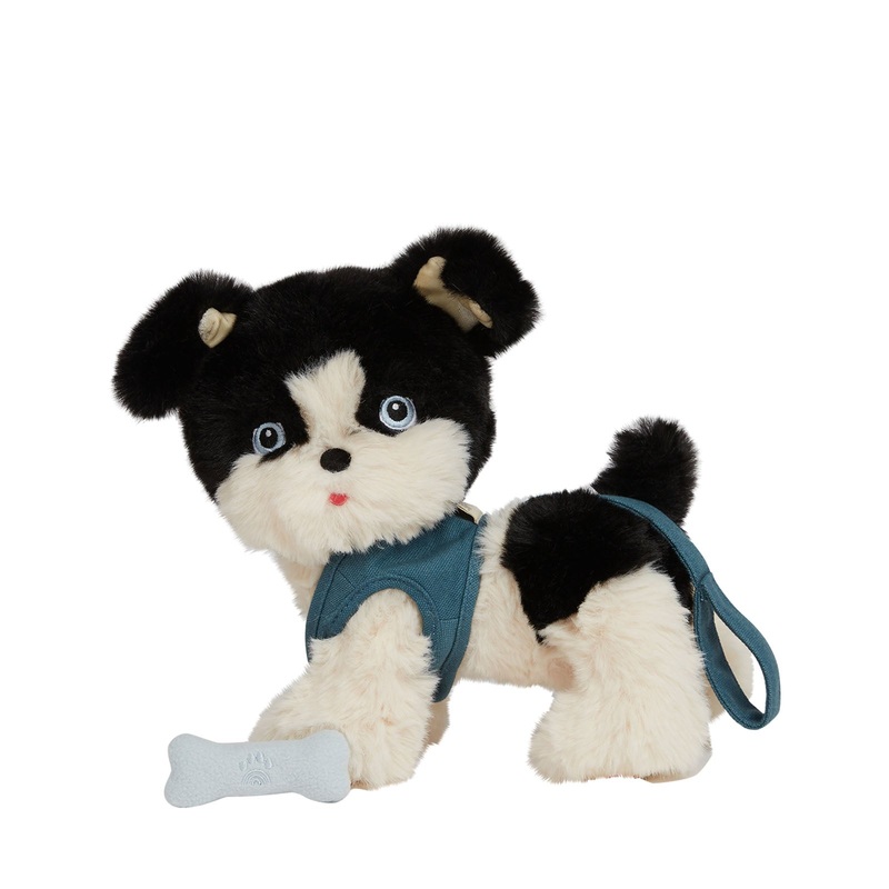 Dinkum Dog – Lucky