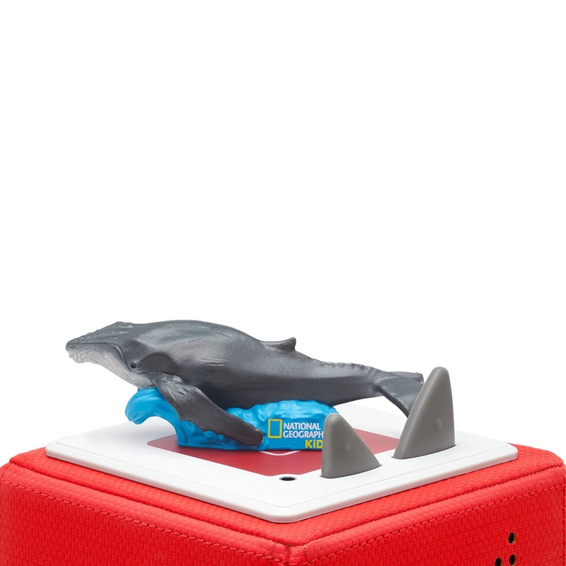 National Geo – Whale