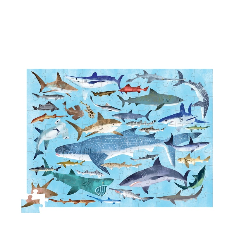 36 Sharks – 100 Piece Puzzle