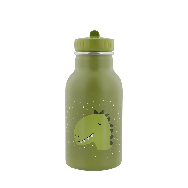 Insulated Water Bottle 350ml – Mr Dino