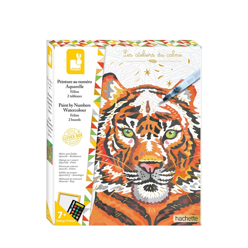 Watercolour Painting by Numbers – Felines