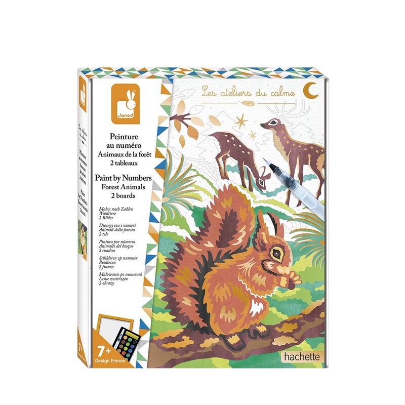 Watercolour Painting by Numbers – Forest Animals