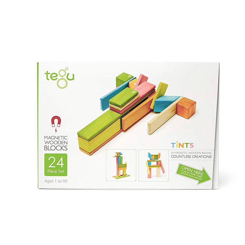Magnetic Block Set 24 Pc Set – Tints by Tegu