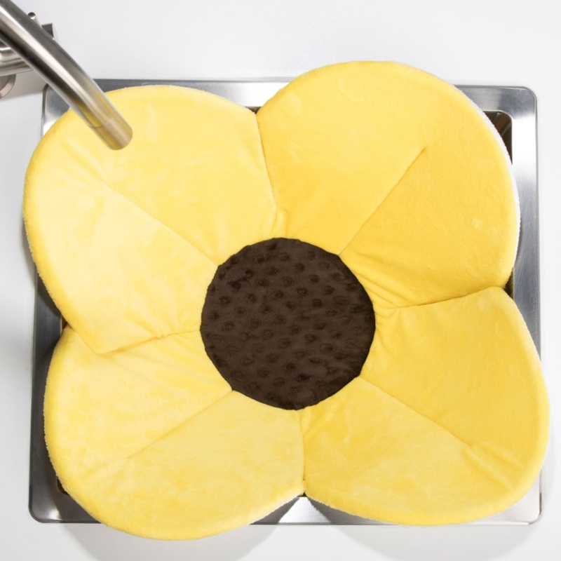 Blooming Bath Poppy – Yellow