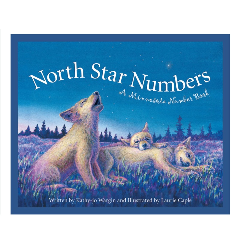 North Star Numbers: A Minnesota Number Book – Hardcover