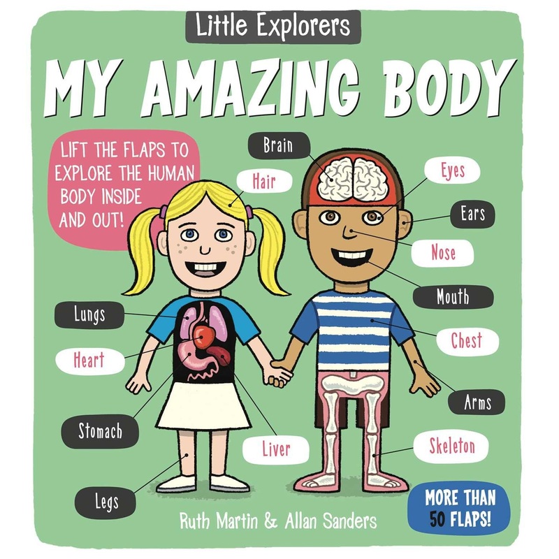 Little Explorers: My Amazing Body – Board Book