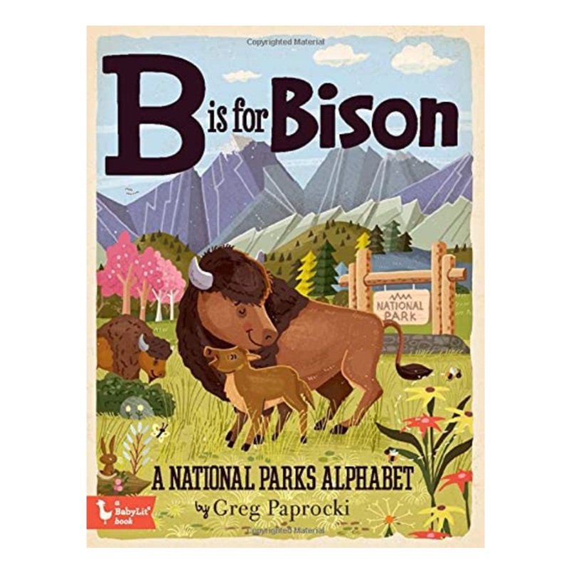 B is for Bison – Board Book