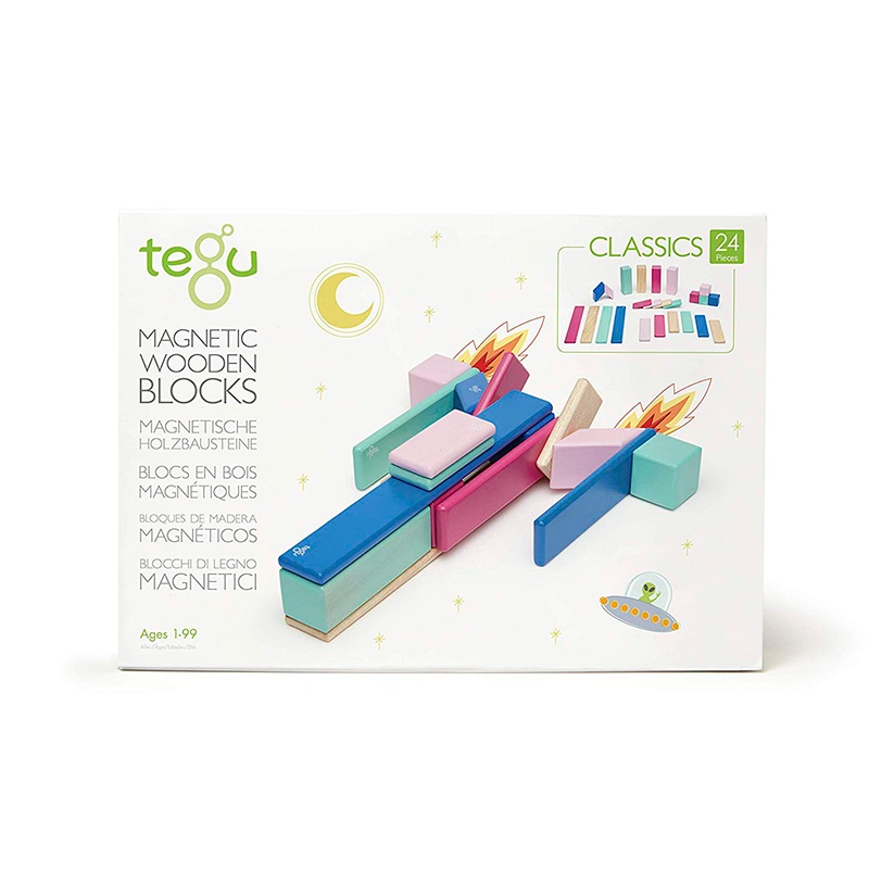 Magnetic Block Set 24 Pc Set – Blossom by Tegu