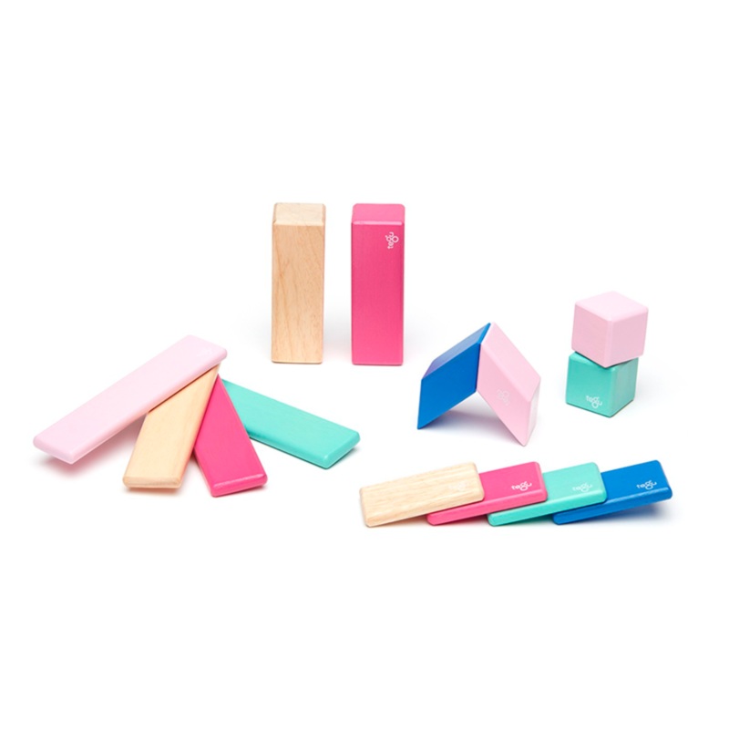 Magnetic Block Set 14 Pc Set – Blossom by Tegu