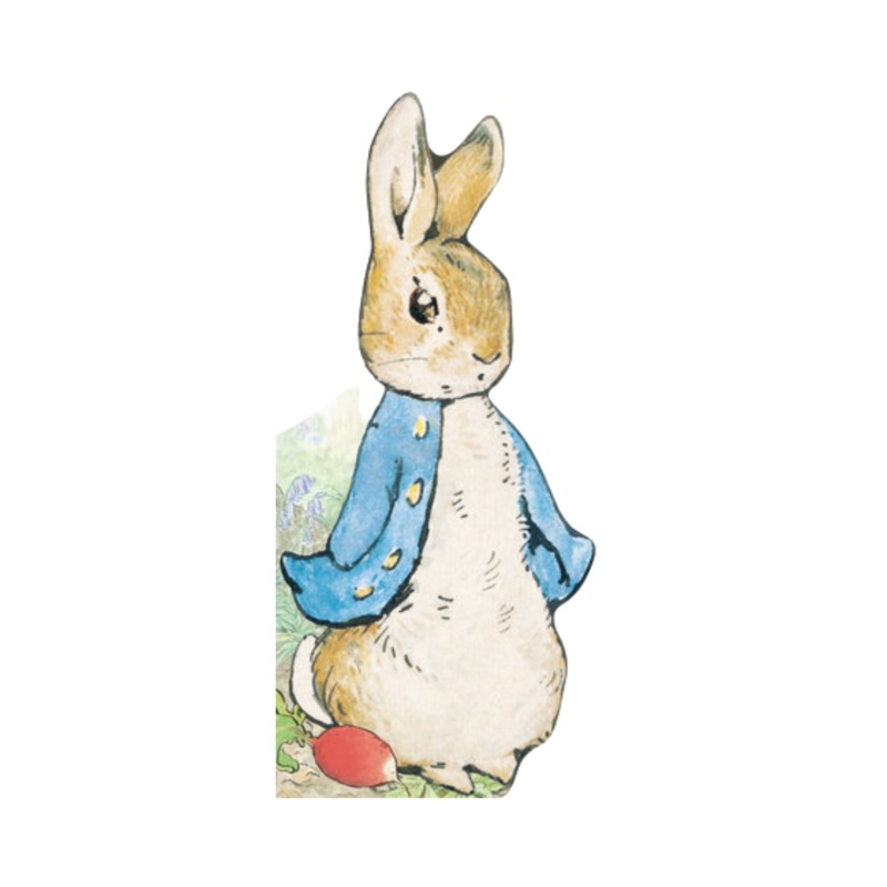 All About Peter (Peter Rabbit) – Board Book