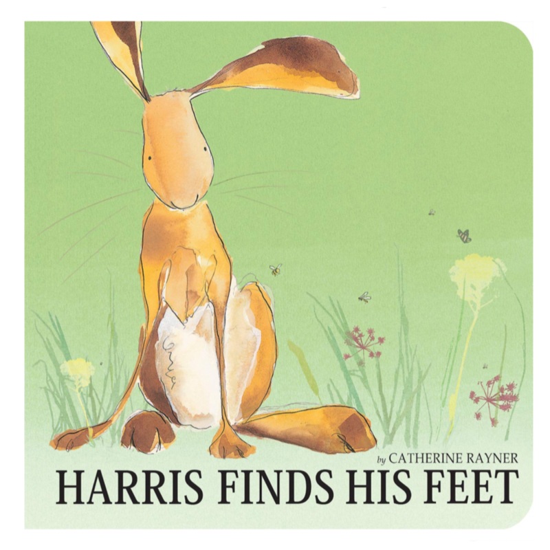 Harris Finds His Feet – Board Book
