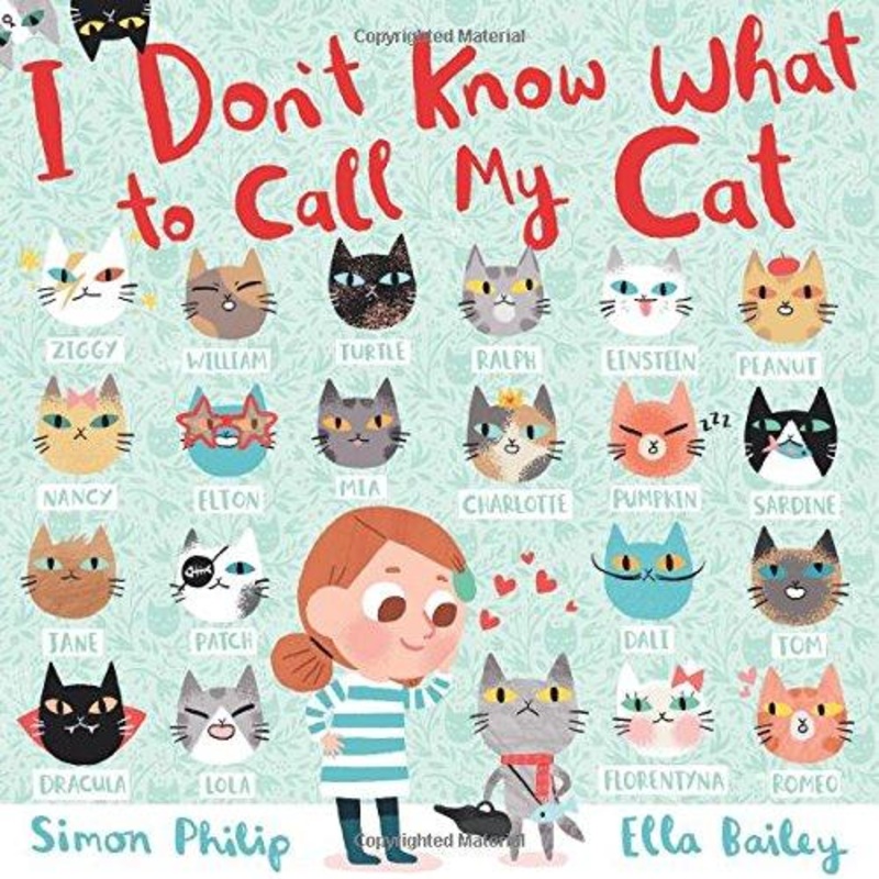I Don’t Know What to Call My Cat – Hardcover